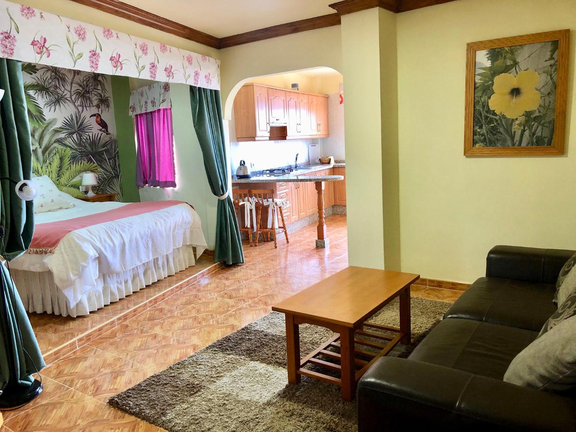 Vv Apartamentos Estrella Del Norte Икод-де-лос-Винос Экстерьер фото